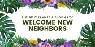 WelcomeNeighbors-blog